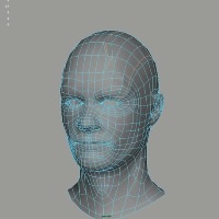 Maya: Basic Polygon Editing Tools