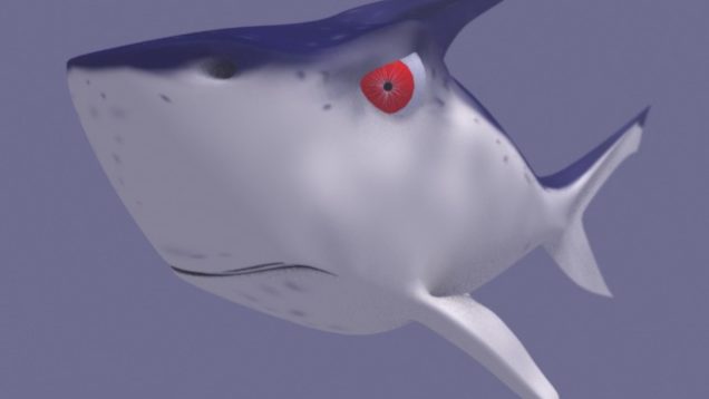 shark1