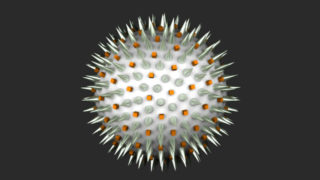 Fig-3-ObjectWithConeandBox