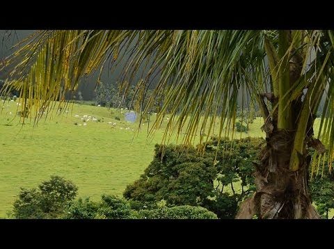 Learn to Correct and Improve Images on Photoshop