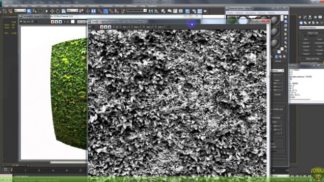 Photoshop Image Corrections and Programs Plugins Tips