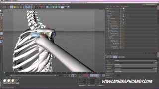 Tutorial “Rigging a Skeleton with Hinge and Ball & Socket Connectors”