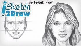 Drawing a Female Face