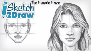 Drawing a Female Face