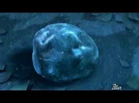 In The Rough – Blur Studio