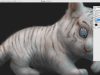 Making of White Tiger Cub