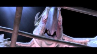 Rio – Angry Birds Mashup