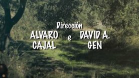 Tartarugaruga: Galivia Velocidade