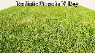 3DS Max Vray Tutorial – Realistic Grass in Vray Tutorial