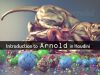 Arnold in Houdini – Introduction