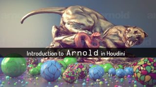 Arnold in Houdini – Introduction