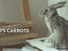 Rocco’s Carrot – Commercial