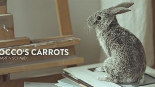 Rocco’s Carrot – Commercial