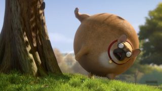 [Animation] Rollin’ France – what if animals were round?