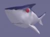 shark1