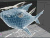 tn_shark04