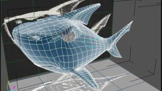 tn_shark04