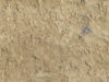 text_tut8