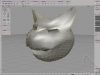 head