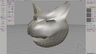 head