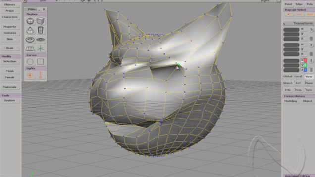 head