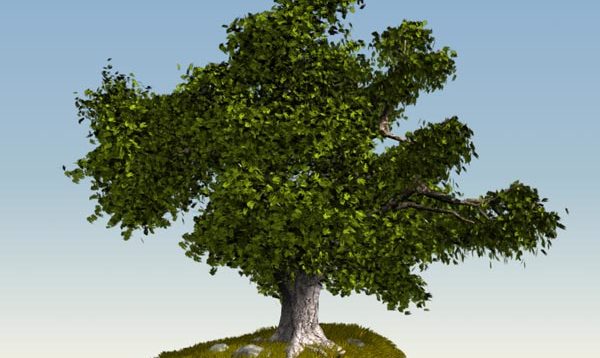 image027