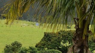 Learn to Correct and Improve Images on Photoshop