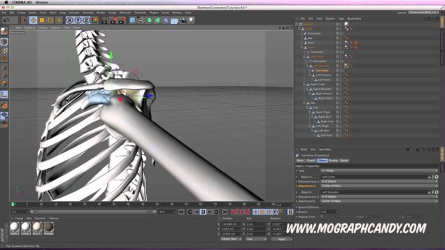 Tutorial “Rigging a Skeleton with Hinge and Ball & Socket Connectors”