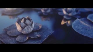 Dream Koala – Odyssey