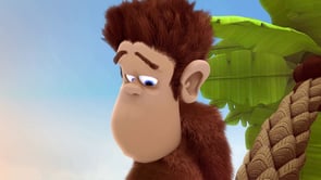 Lonely Monkey
