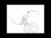 Making of Gypsy Dancer Part 1