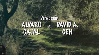 Tartarugaruga: Galivia Velocidade