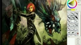 Video time-lapse – lezard