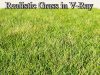 3DS Max Vray Tutorial – Realistic Grass in Vray Tutorial