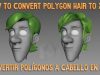 Polygon to Xgen Tutorial (Eng/Esp)